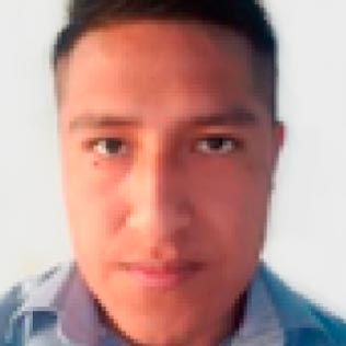 David Mamani